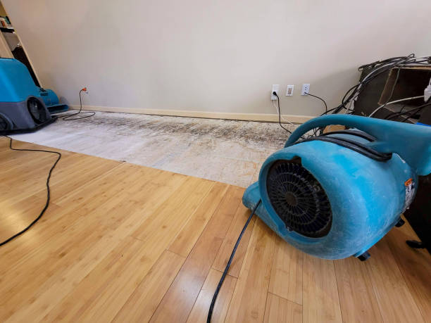 Professional Structural Drying technician working in Lakeland, TN